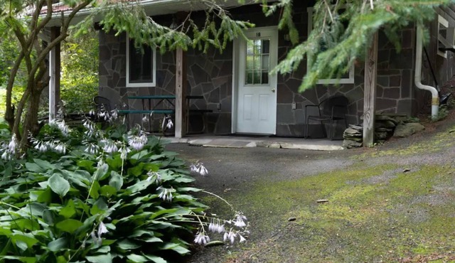 Alpine Cabin at Belleayre Lodge, near Mountain #5B
