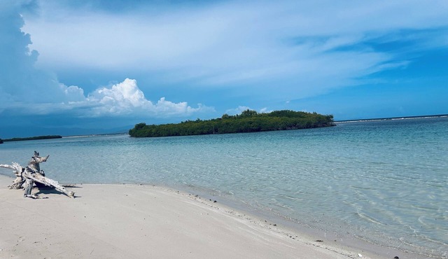 Alpine Cabin with Stunning Ocean View