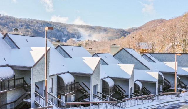 Alpine Condo & Cozy Bear Condo