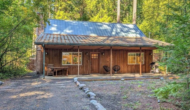 Alpine Drift | Hot Tub, Pet Friendly, Wifi