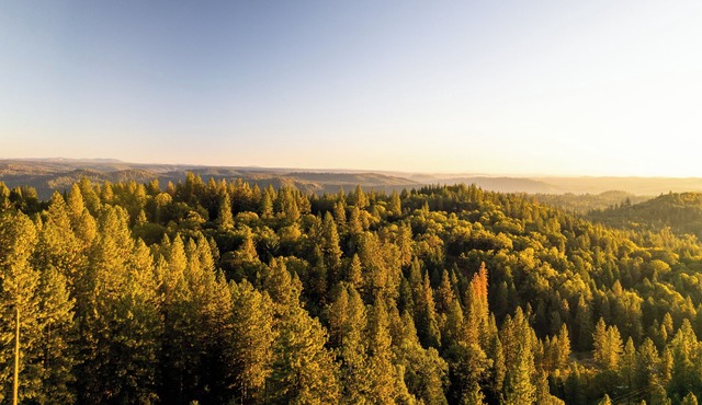 Alpine Escapes. Welcome to our peaceful mountain retreat!