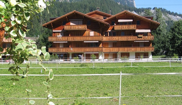 Alpine Holidays **** Apartment 2nd floor in a chalet. 270 degrees Alpenpanoram