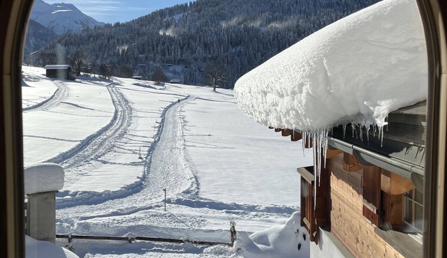 Alpine Style Swisshomebnb