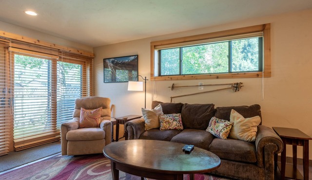 Alpine Villa Condo 1- Find a Perch in Ketchum at Treehouse Condo