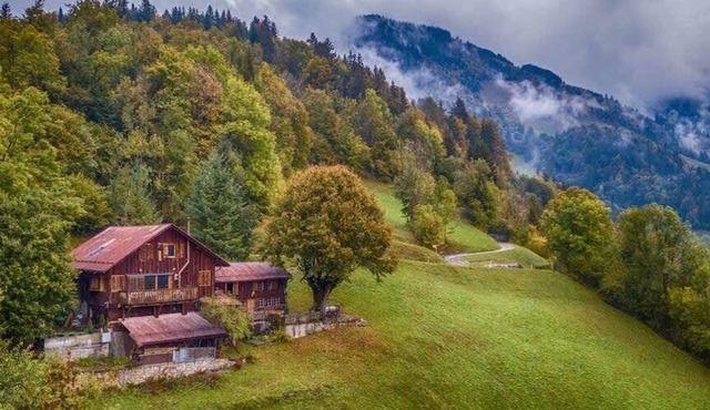 Alps Chalet for Big Group with Sauna & Yoga Terrace