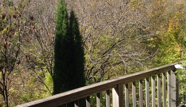 Alps Orelle Val-thorens les trois vallées snow guarantee beautiful apartment