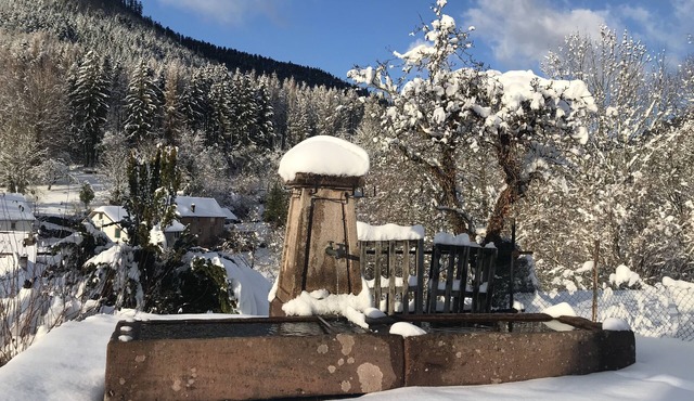 Alsace border (Donon, Lakes) gîte 8/10 pers + 2 BB 5 bdrms (poss 4 pers 2/3 bdrms)