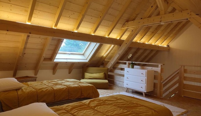 Alsace Chalet & Spa Meyer-Krumb
