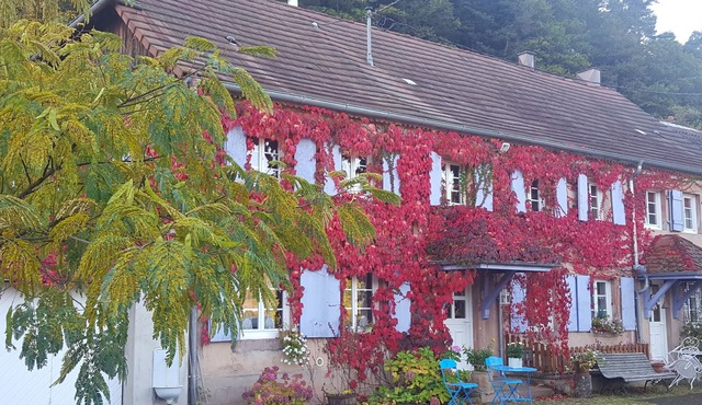 Alsace Cottage leaning against the hill overlooking the valley 15min from Haut-Kœnigsboug
