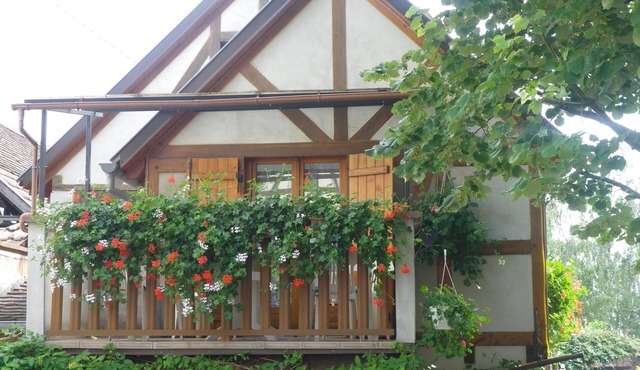 Alsace style timber framed house