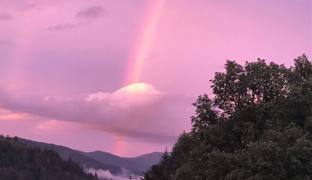 Alsatian cottage in cozy chalet - Raphaël cottage