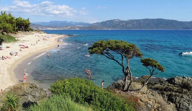 Altagène bed and breakfast, charm and sculptures 1