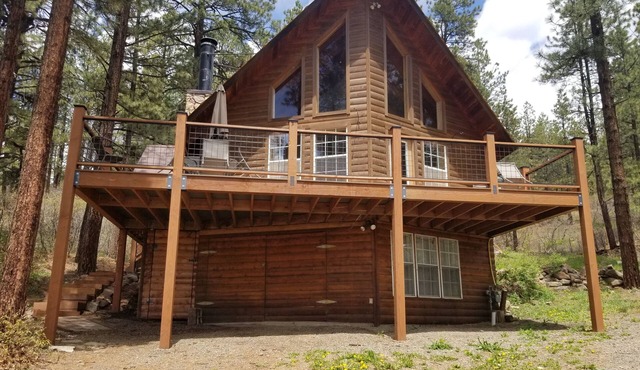 Altitude Adjustment cabin near Wolf Creek - pet friendly