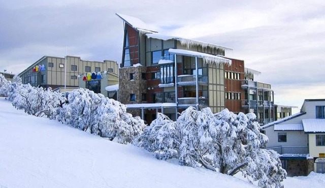 ALTO 203.Central in position right on Athletes walk, next door to Abom and 2 mins to Foodworks.