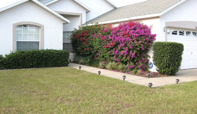 ALWAYS FREE POOL HEAT - Disney, Pool Home - Lake View - New CARPET/TILE
