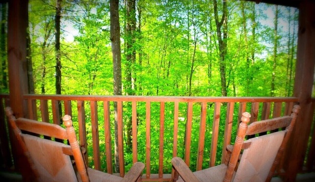 Always Misbehavin: Pet Friendly, Free Attraction Tickets, Hot Tub & Close to PF