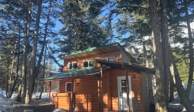 Alyeska Spruce Cabin