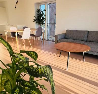 Ama Hyg Atelier Copenhagen Royal Arena 2 Bedrooms Apartment