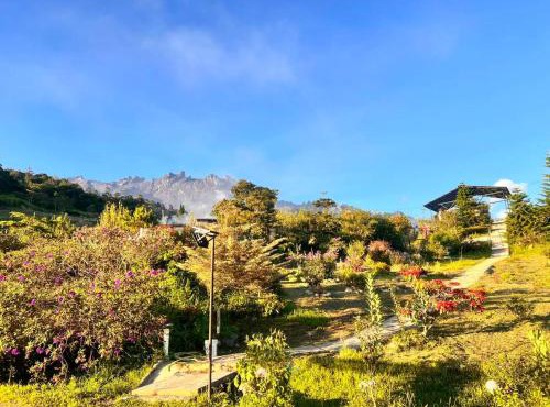 Aman Homestay Kundasang Sabah