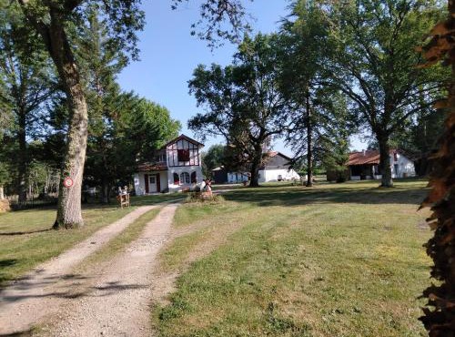 Amarante des Landes