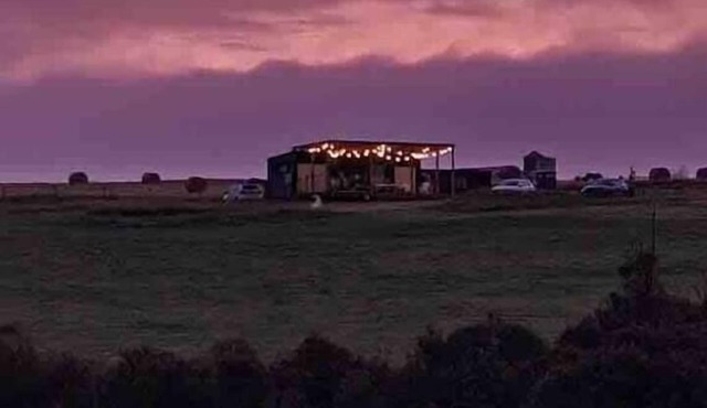 Amaroo Summary: Nestl