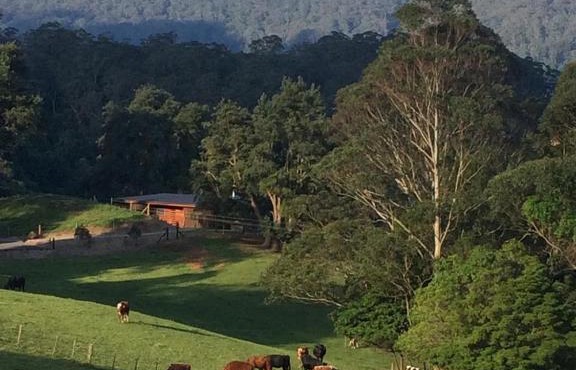 Amaroo Valley Springs