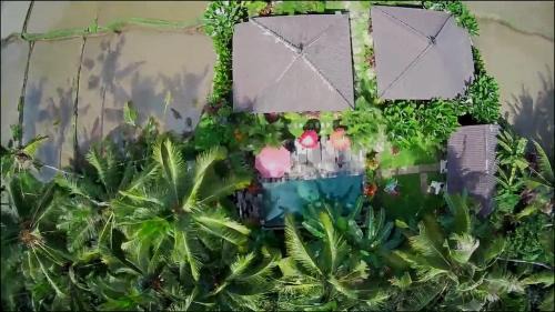 Amaya Cottage Ubud by Best Living