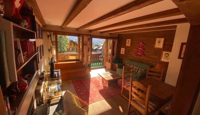 Amazing apartment with view of the Alps