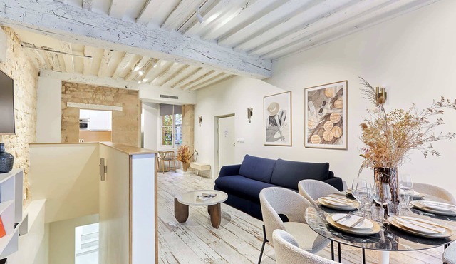 Amazing apartment in the Center of Paris (Marais)