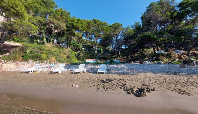 Amazing beachfront apartment with balcony and wifi