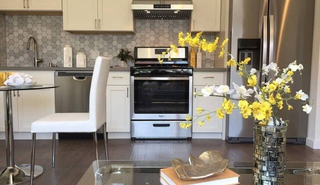 Amazing Bright&New Vrbo 2bedroom. Near SFO!