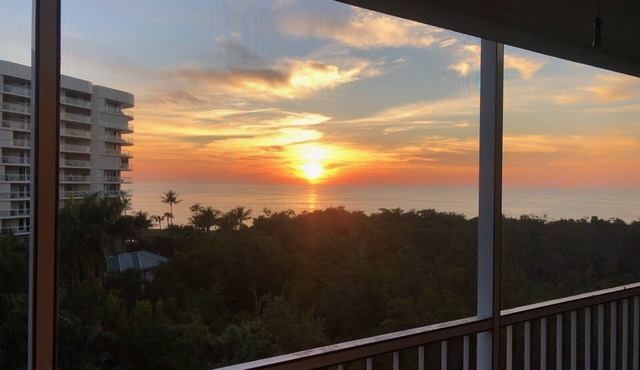 Amazing Condo Efficiency with Gulf View