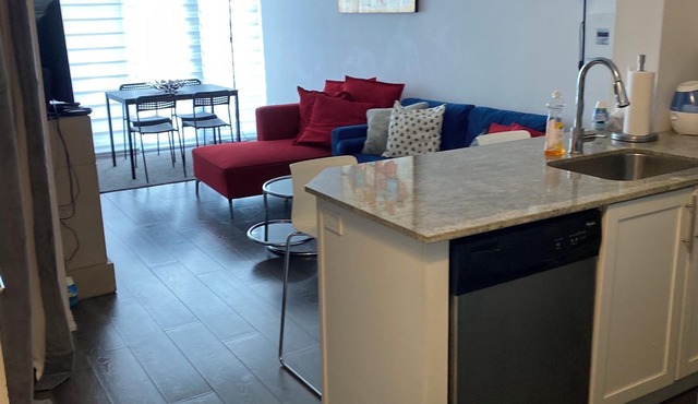 Amazing Condo in Trendy area Liberty Village Toronto near Downtown