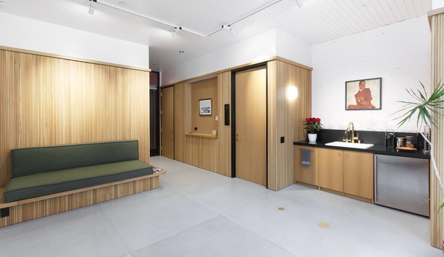 Amazing Corporate Executive Hidden SOMA Gem