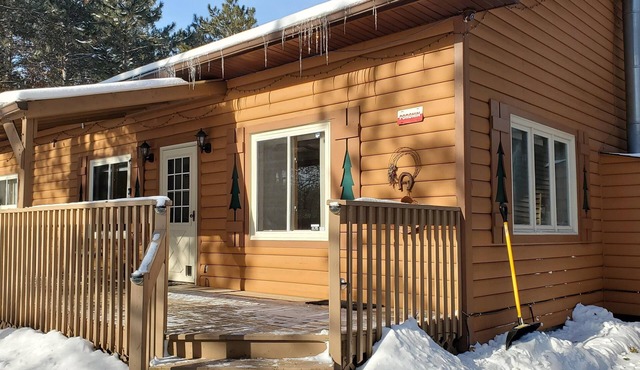 Amazing cottage in a forest with great amenities