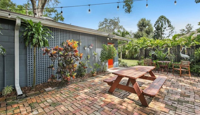 Amazing cottage in sunny Tampa close to everything.