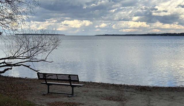 Amazing cottage very close to beautiful Simcoe Lake