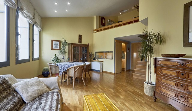 Amazing duplex near the cathedral in the heart to Girona