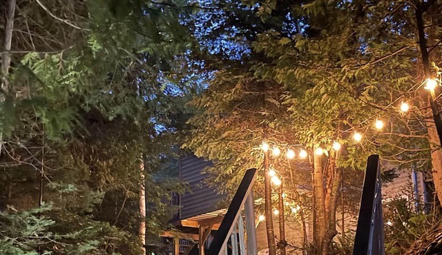 Amazing Family Cottage on 350 ft private waterfront