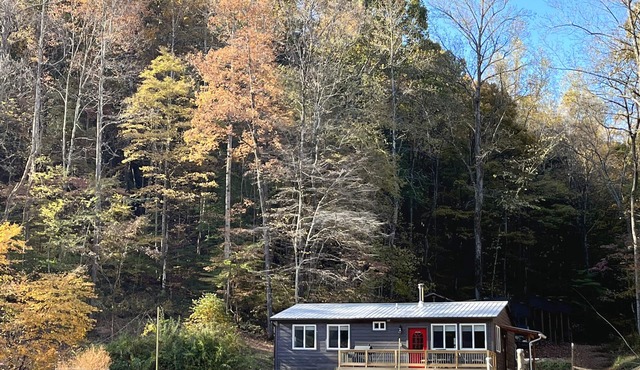 Amazing Getaway! Forest Setting Outside Nashville Near Loretta Lynn's