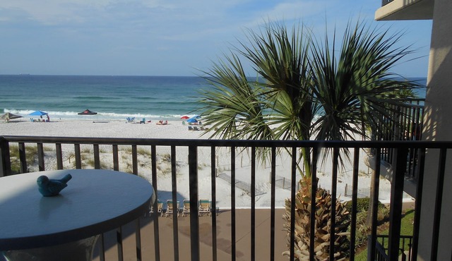 Amazing Gulf Front View