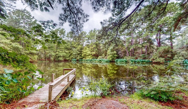 Amazing Home & Guest House on 14 Acres - Vineyards, Pond & Trails