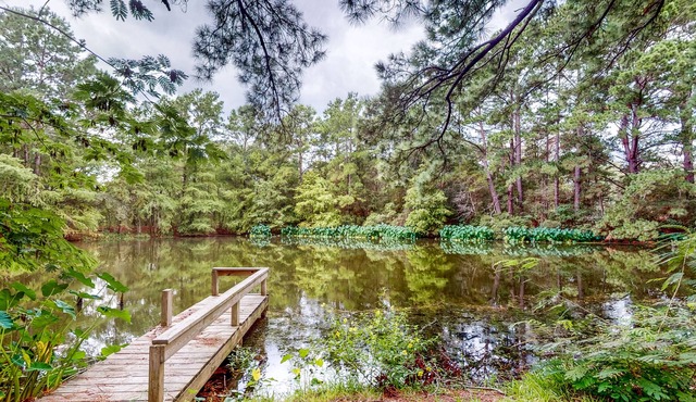 Amazing Home & Guest House on 14 Acres - Vineyards, Pond & Trails