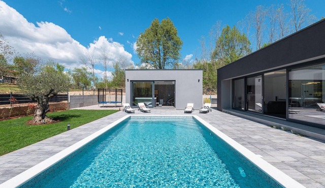 Amazing home in Nedescina with sauna