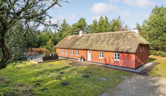 Amazing home in Pandrup