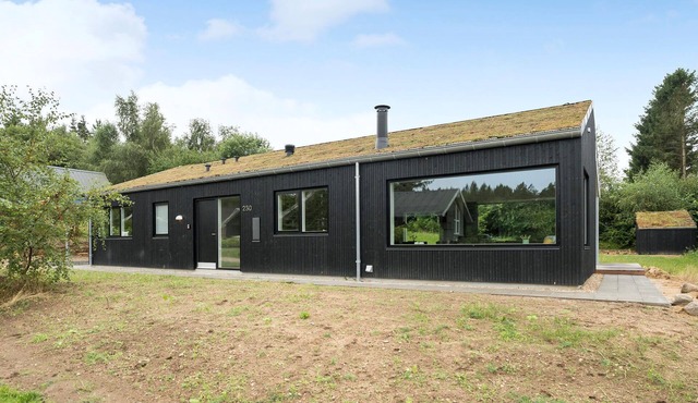 Amazing home in Silkeborg with kitchen