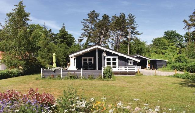 Amazing home in Tranekær with sauna
