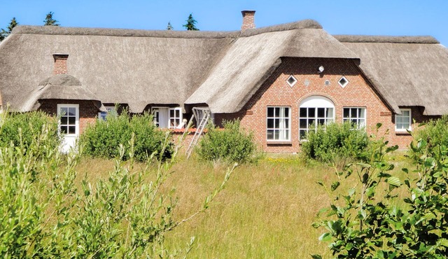 Amazing home in Ulfborg with sauna