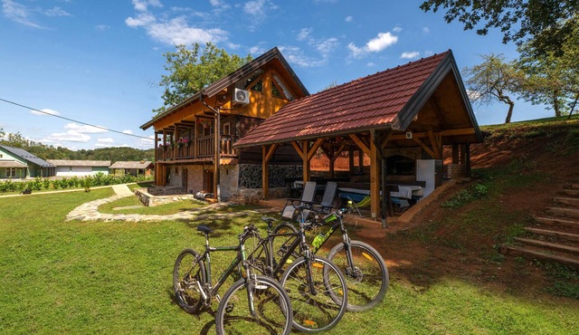 Amazing home in Veselici with sauna