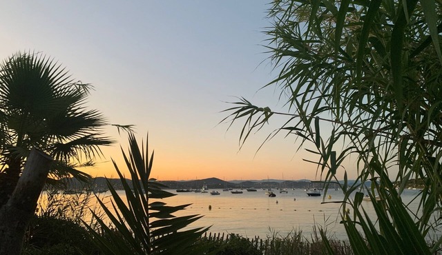 Amazing House on the beach sea view and pool in St Tropez
